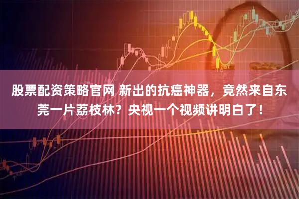 股票配资策略官网 新出的抗癌神器，竟然来自东莞一片荔枝林？央视一个视频讲明白了！