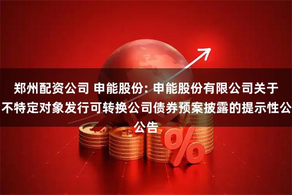 郑州配资公司 申能股份: 申能股份有限公司关于向不特定对象发行可转换公司债券预案披露的提示性公告