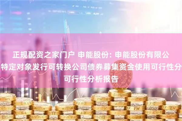 正规配资之家门户 申能股份: 申能股份有限公司向不特定对象发行可转换公司债券募集资金使用可行性分析报告