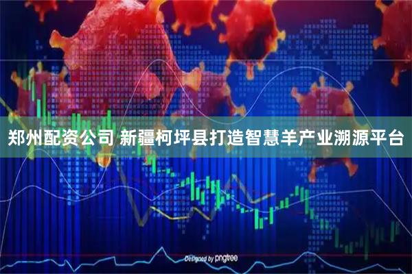 郑州配资公司 新疆柯坪县打造智慧羊产业溯源平台